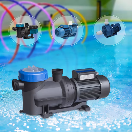 スイミングプール機器、スイミングプール付属品の工場供給